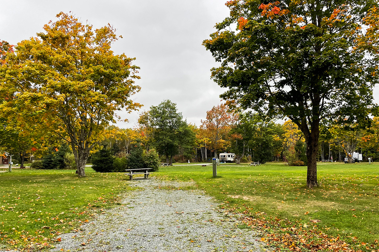 Gravel RV site with green and fall color trees.