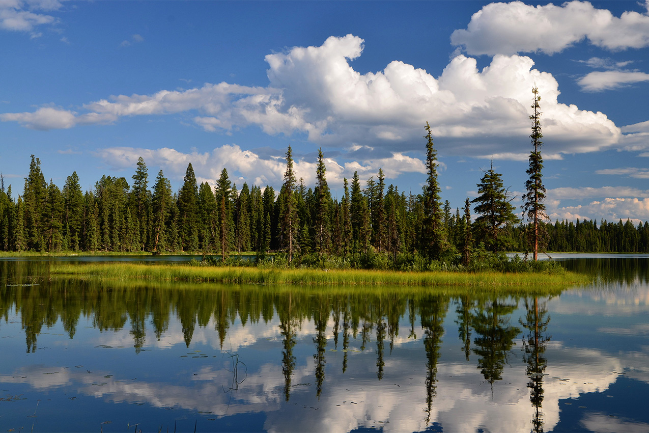 Cloud sky reflected in a lake with trees.