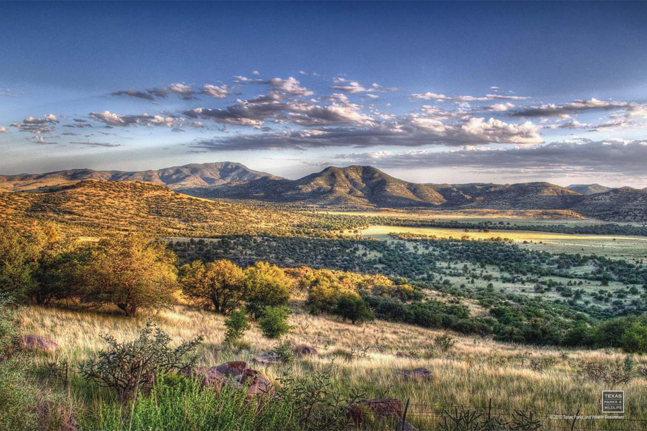 Rolling hill covered in shrubs with mountains in the background.