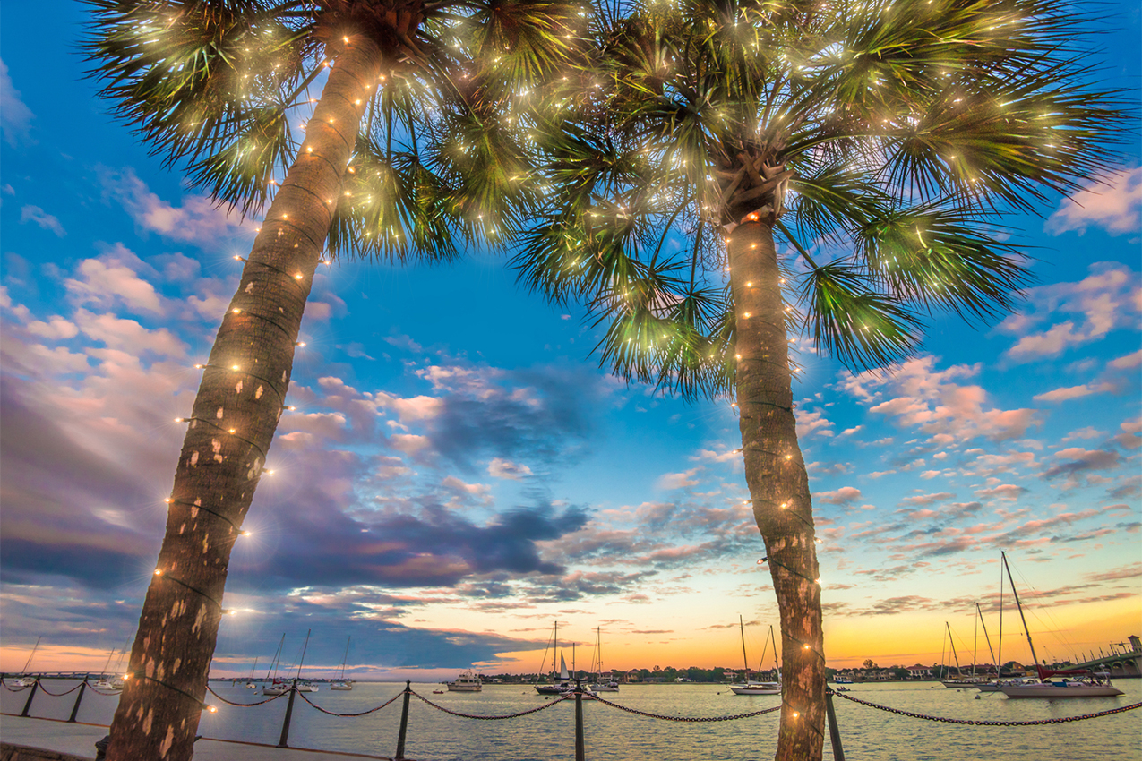 Two palm trees wrapped in white holiday lights and setting sun in the background.