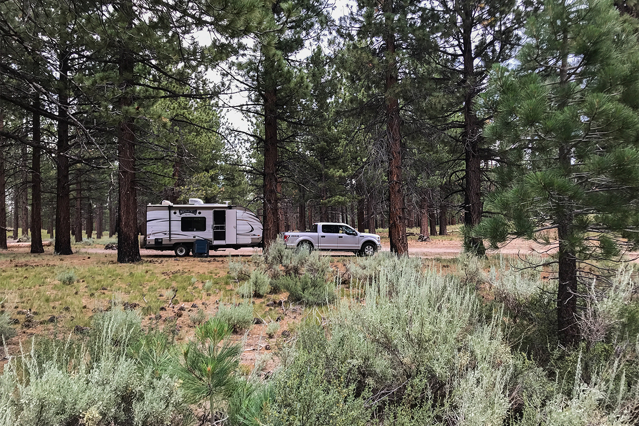 Truck and trailer parked in the woods behind sage bushes.