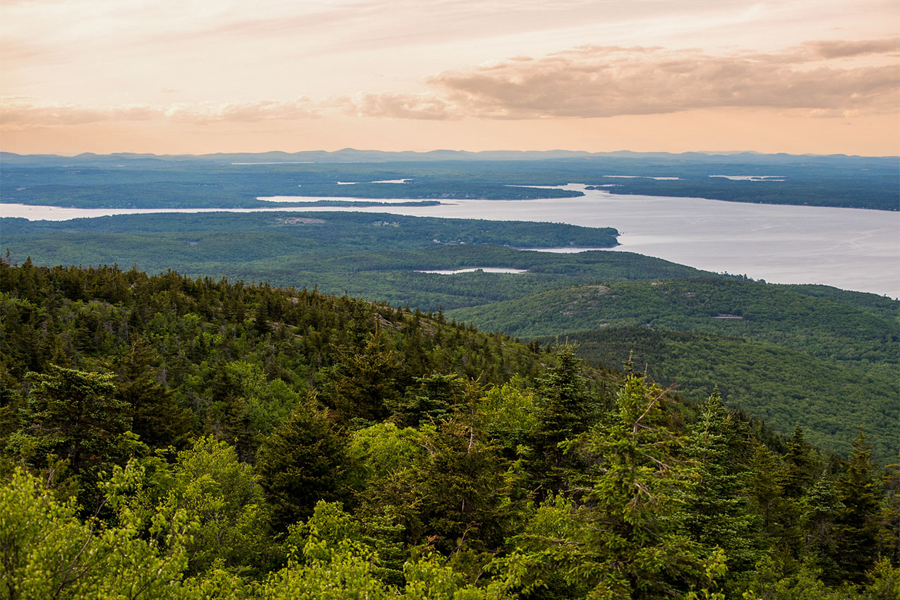 Expansive view of dark green forest with lake in the distance with pink skies.