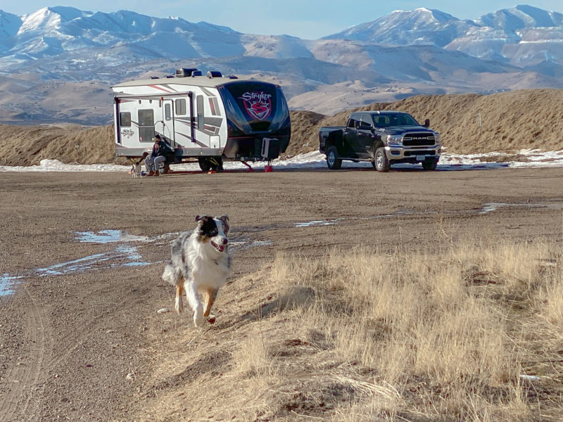 Dog running off leash near in RV in boondocking location