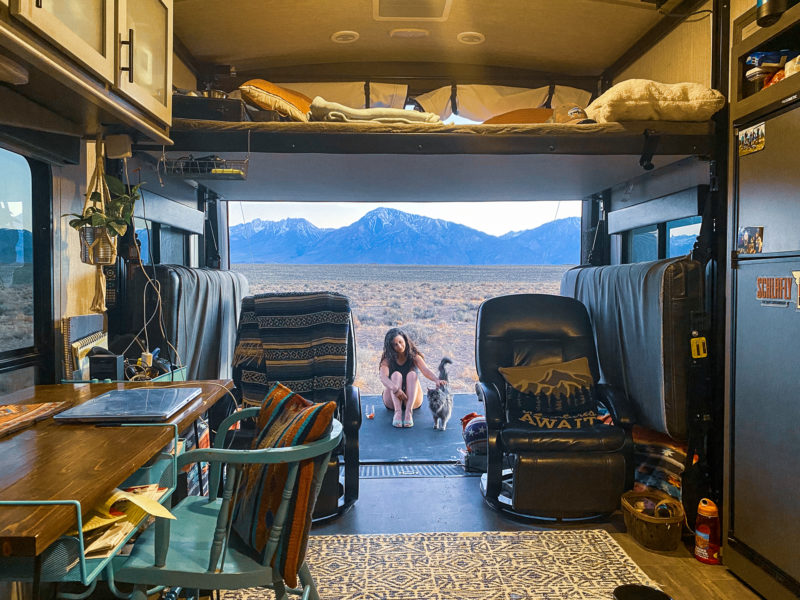 Cat getting pets relaxing in back of open rv
