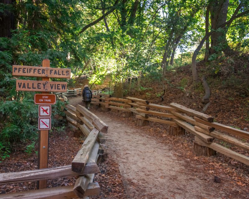 Hiking trail at Pfeiffer Big Sur State Park