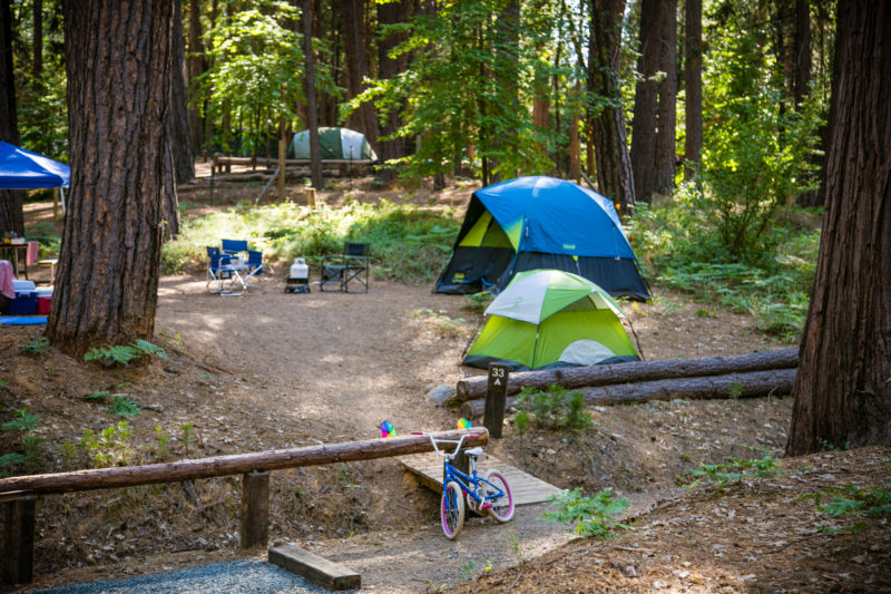 tents erected under trees at a campground with chairs and a blue and pink bicycle