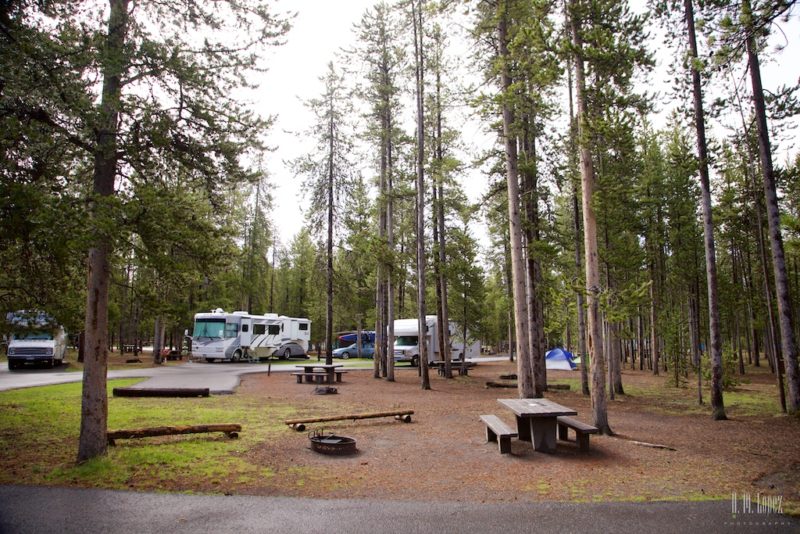 RVs parked at a wooded campground