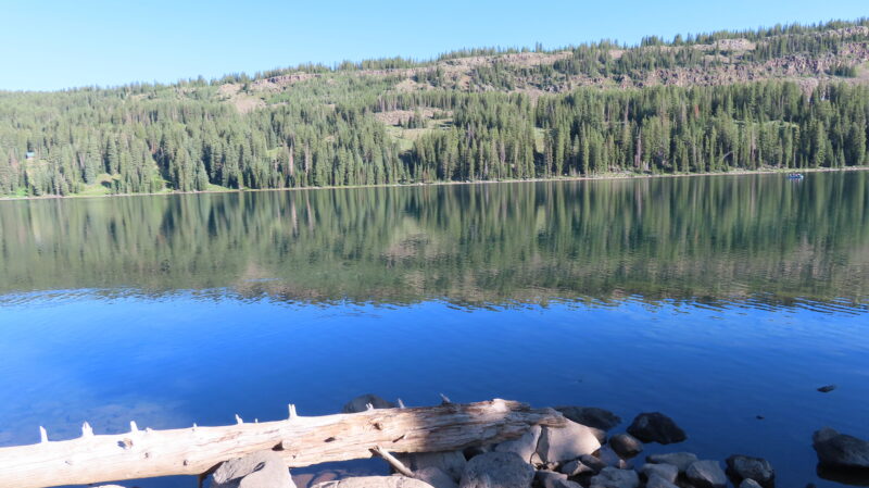 Looking out to a lake with trees in the background