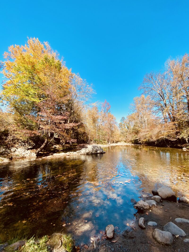 Clear river outlined with trees and fall foliage in Tennessee.