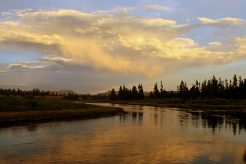 River running through Bakers Hole Campground near Yellowstone National Park
