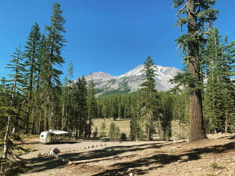 A rig boondocked in a national forest on a sunny day