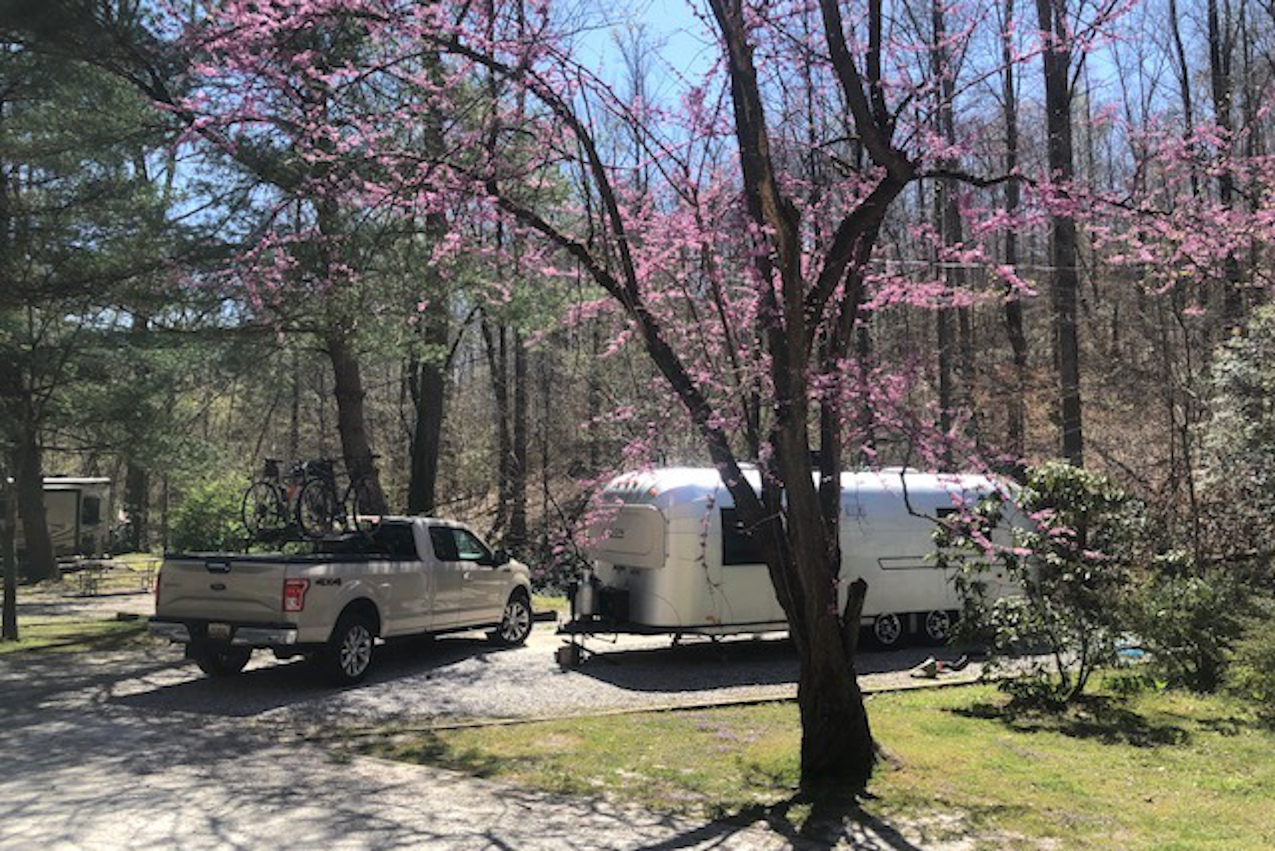 Travelers Rest-North Greenville KOA