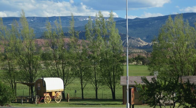 Old school wagon stationed in lush landscape