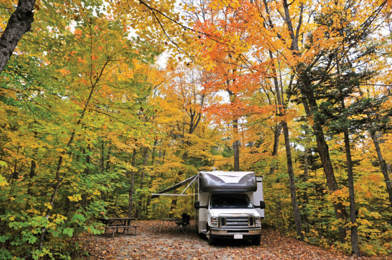 an rv is parked in the woods under yellow, green and orange foliage