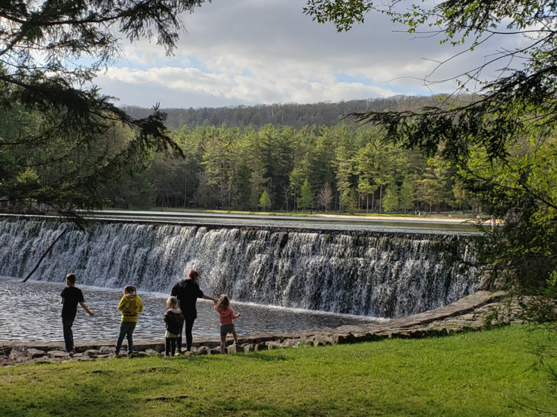 five people walk by a waterfall surrounded by greenery