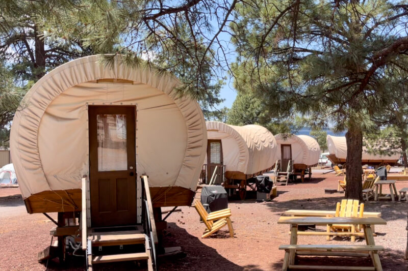 a row of covered wagons at a campground