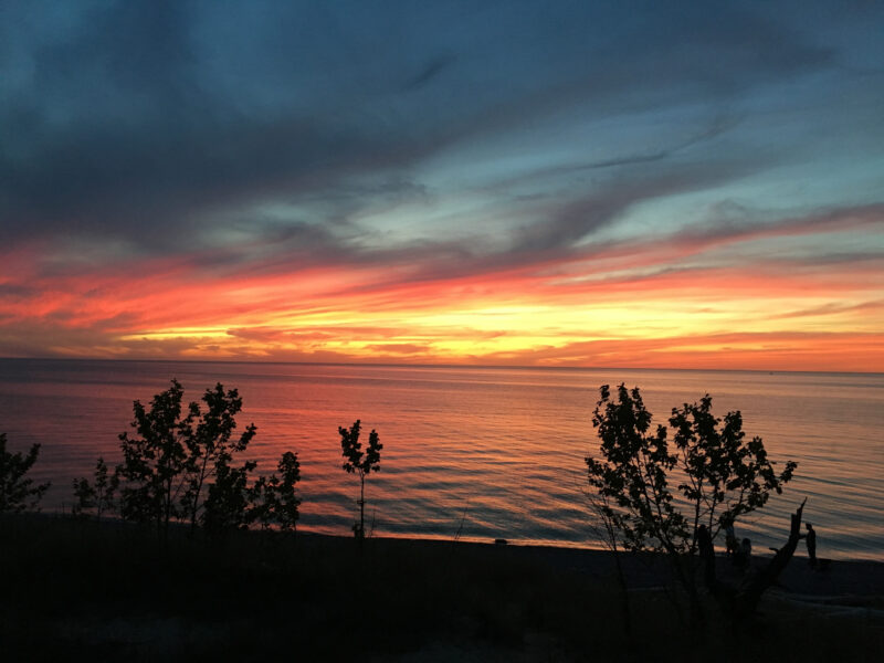 sunset over the water with silhouettes of trees