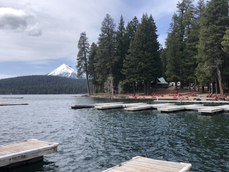 a campground by the water with pine trees on the shore and a snow-capped mountain in the background
