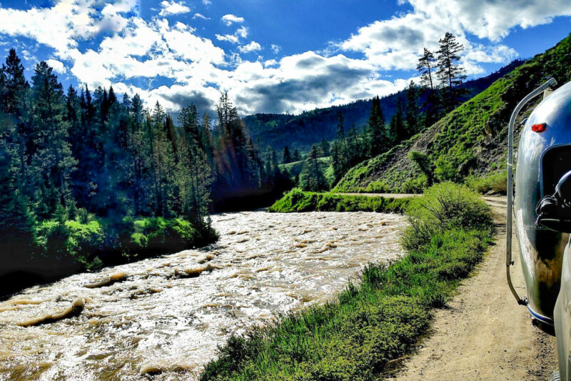 a river runs along a road surrounded by green pine trees