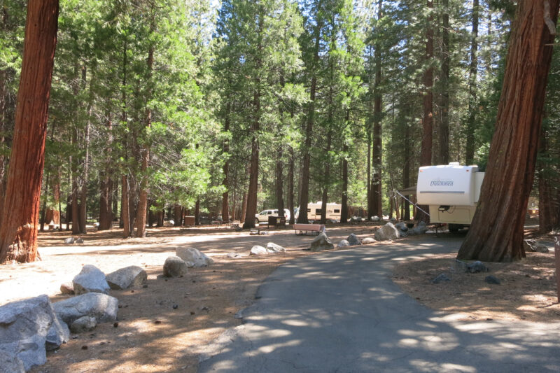 a wooded campsite with several rvs parked