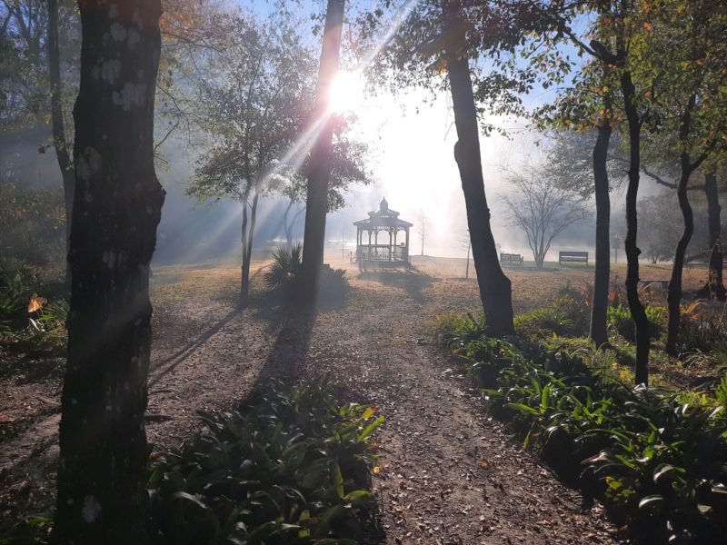 Wooded area with a gazebo at a campground in Florida