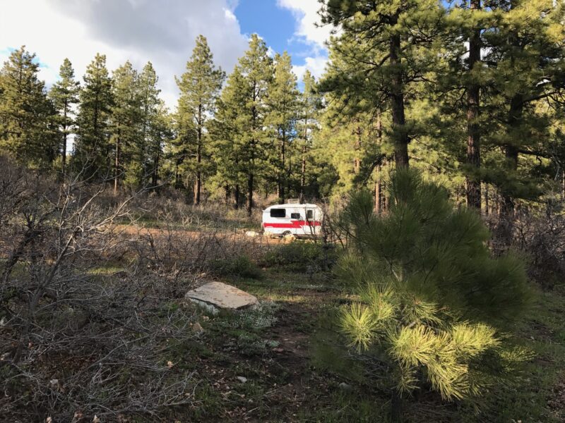 a red and white trailer is parked in a forest