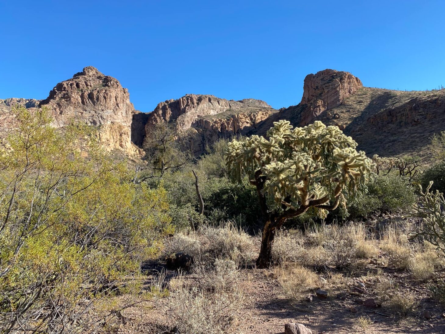 a desert landscape with rock formations and trees under a clear blue sky