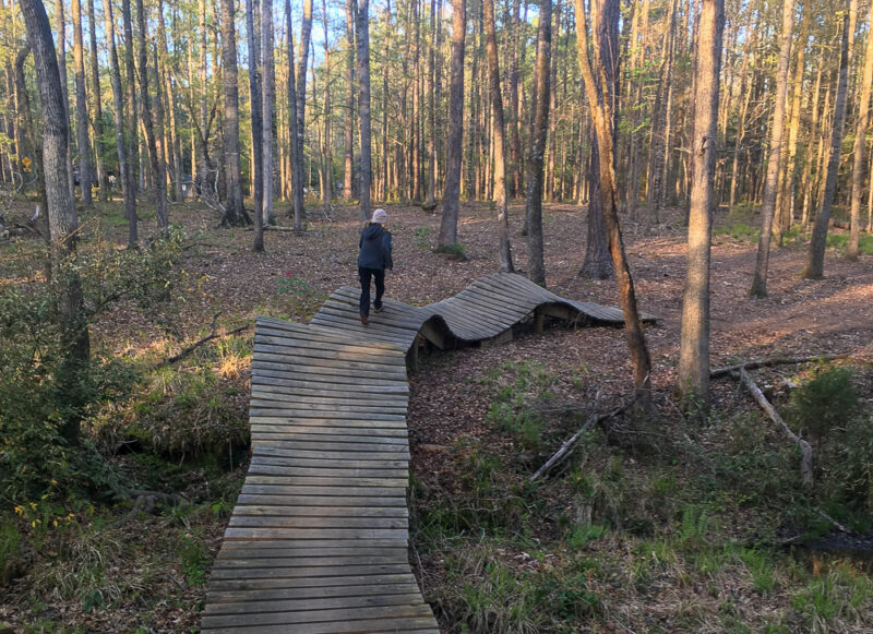 a person walks on an undulating wooden boardwalk through the woods
