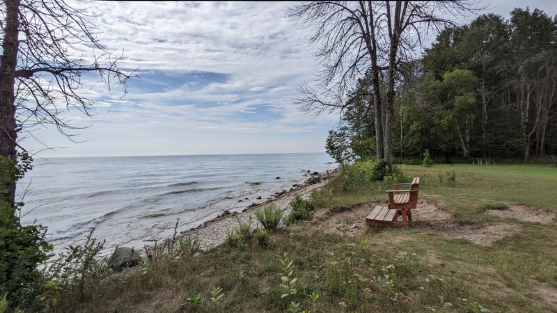 a grassy shoreline with a red wooden bench overlooking the water