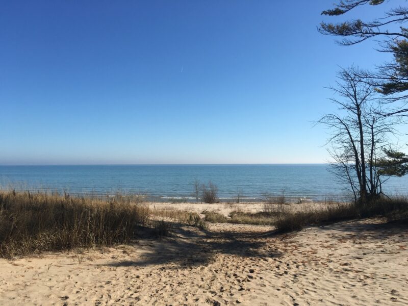 a sandy beach next to the water with some vegetation