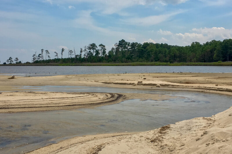 a beach shoreline lined with trees