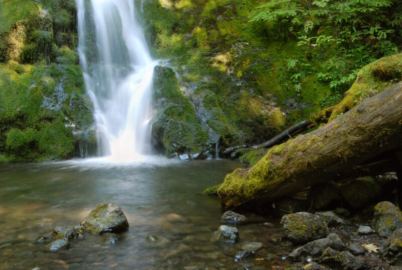 a waterfall surrounded by lush greenery