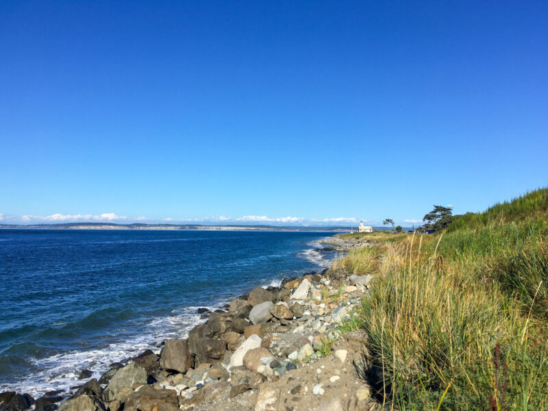 A rocky beach surrounded by tall, sweeping grass.