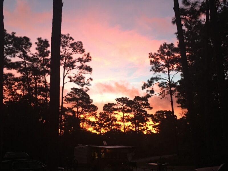 A camper sits amongst trees as a purple sunset fills the sky.