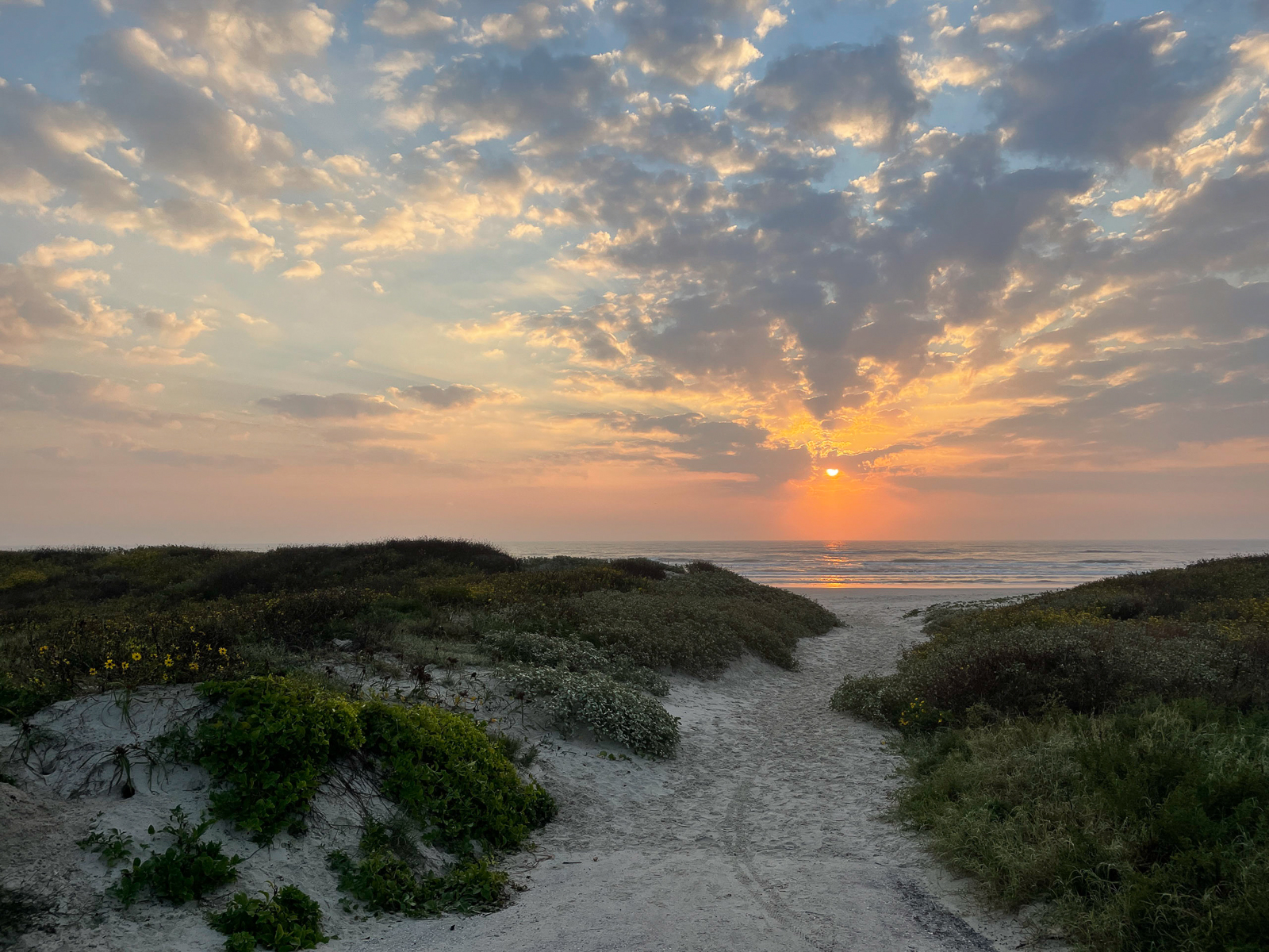 A sandy path winds towards the ocean at sunset