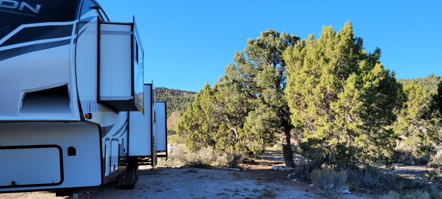 A large RV with multiple slide outs is parked next to a wide tree