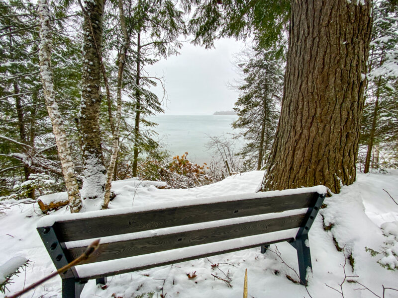 A wooded area is covered in heavy snow