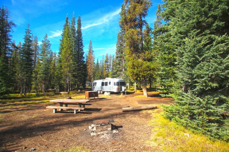 Airstream parked in wooded area