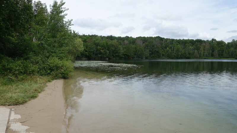 Open lake near the shoreline with trees surrounded the water