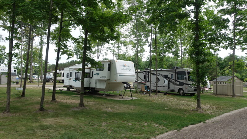 Multiple RVs parked at campsites in a wooded area