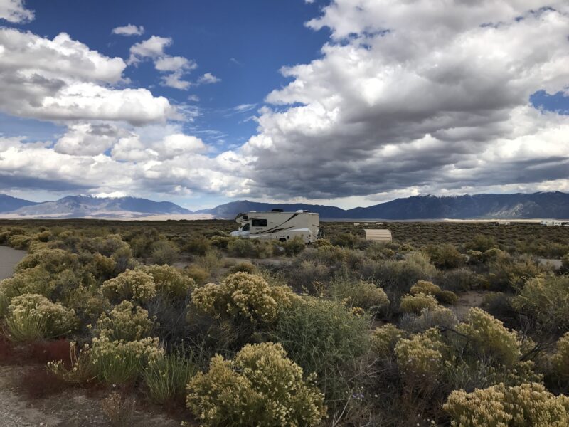 Prickly brush leads the way to an RV situated in a field with mountains in the background
