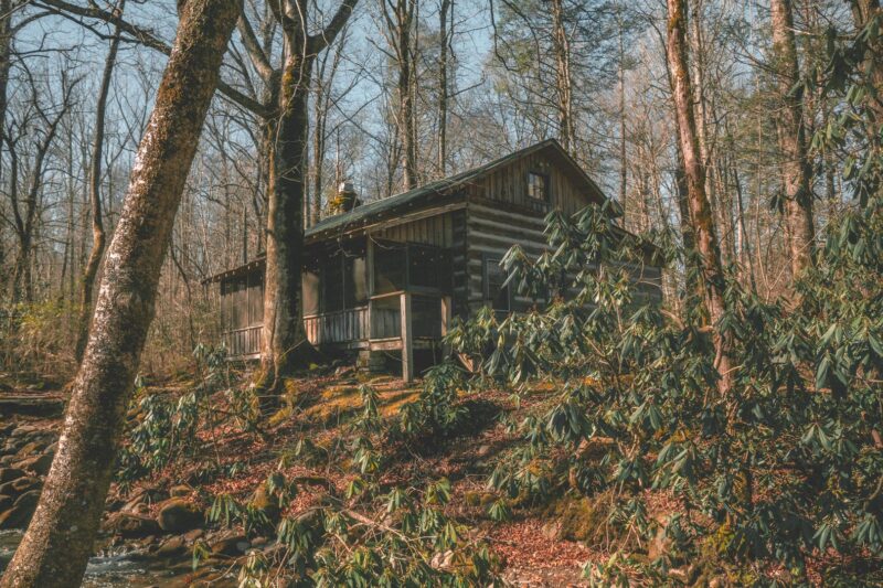 Cabin tucked away in the woods