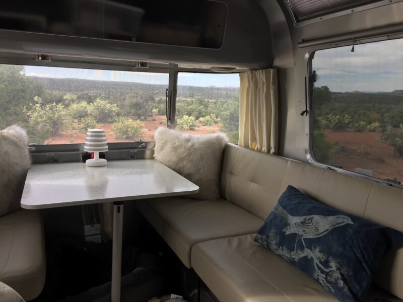 A scenic view of desert plants as viewed from the rear windows of an RV