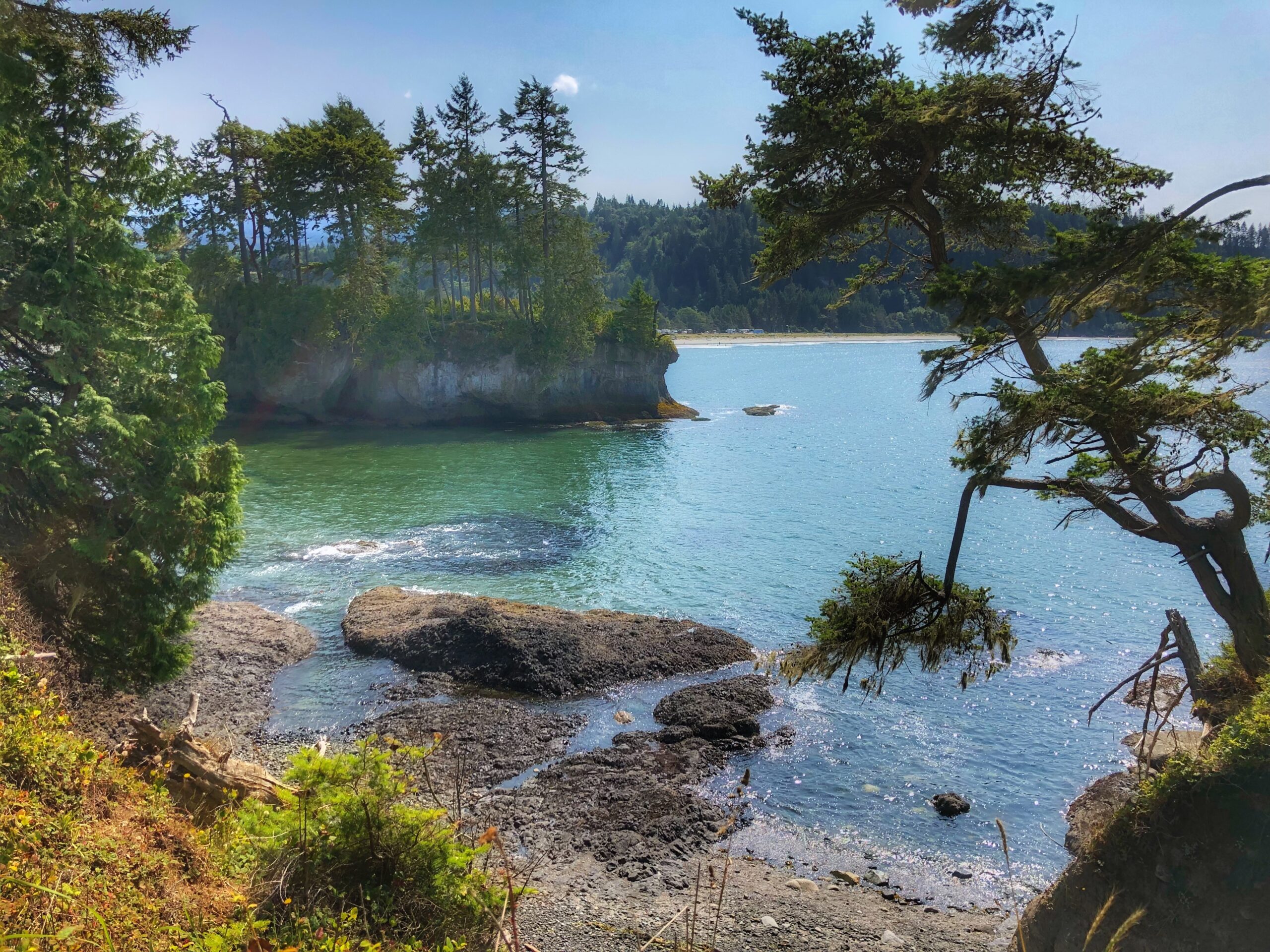 a body of water surrounded by trees