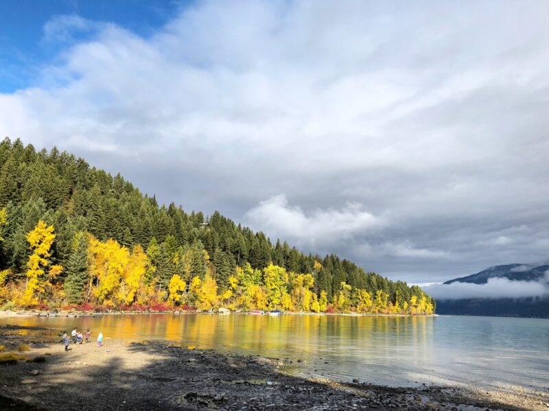 the shoreline of a lake with pine trees in green, yellows and reds under a grey cloudy sky